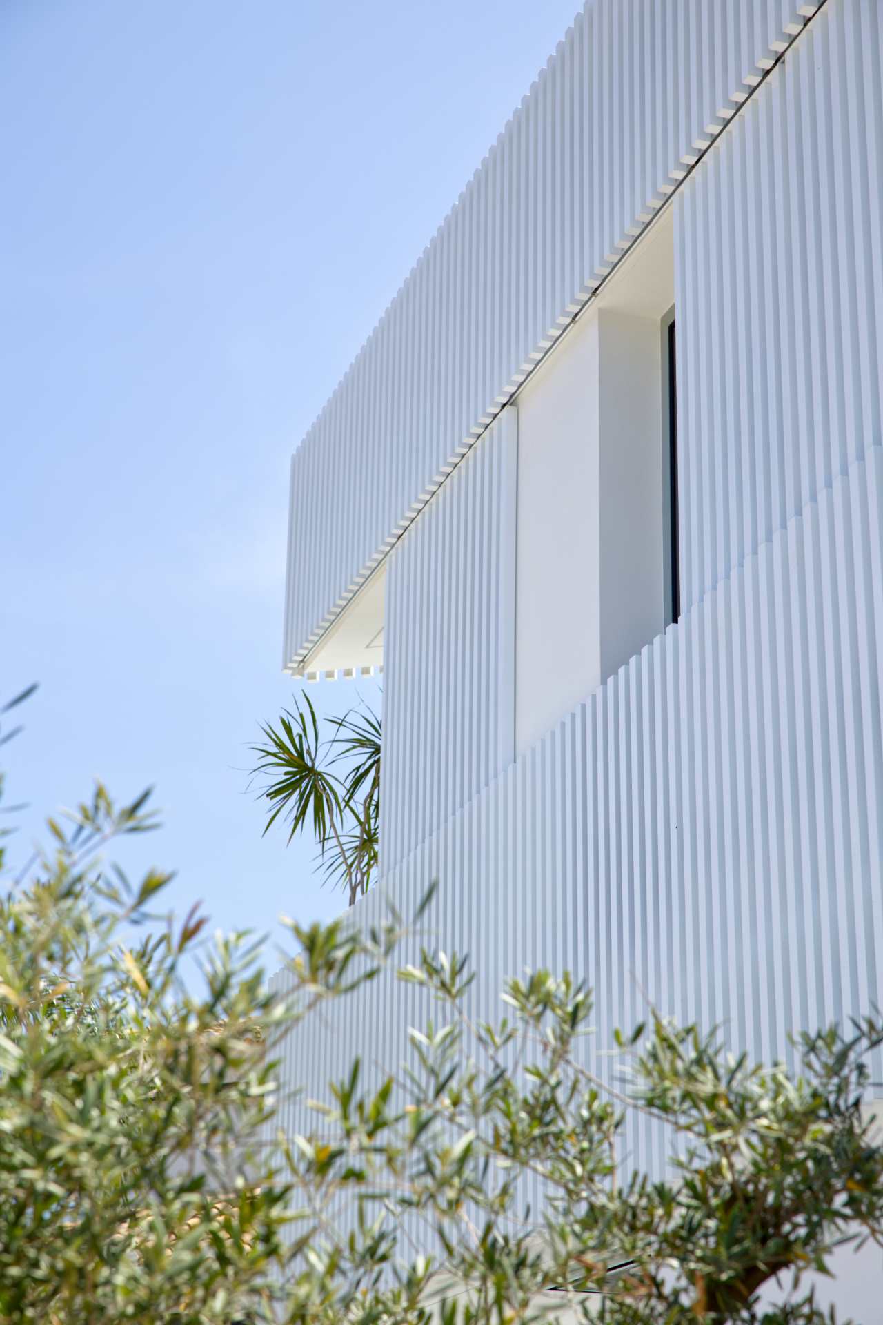 Diseño de fachada blanca con lamas verticales y vegetación Vista parcial de una casa moderna blanca con lamas verticales y una palmera ornamental al fondo.