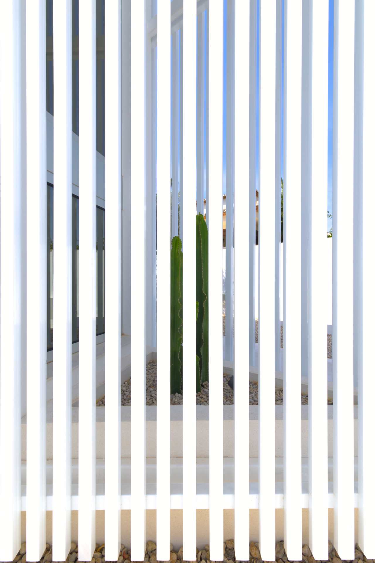 Fachada con lamas blancas y cactus – detalle arquitectónico moderno Detalle arquitectónico de lamas verticales blancas con cactus detrás, diseño moderno de fachada.